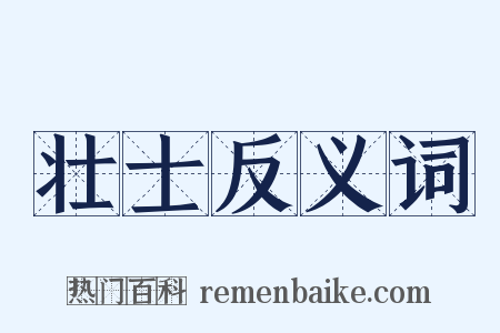 壮士反义词是什么意思的图片